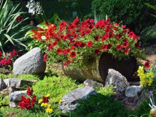 Container Gardening Container Gardening